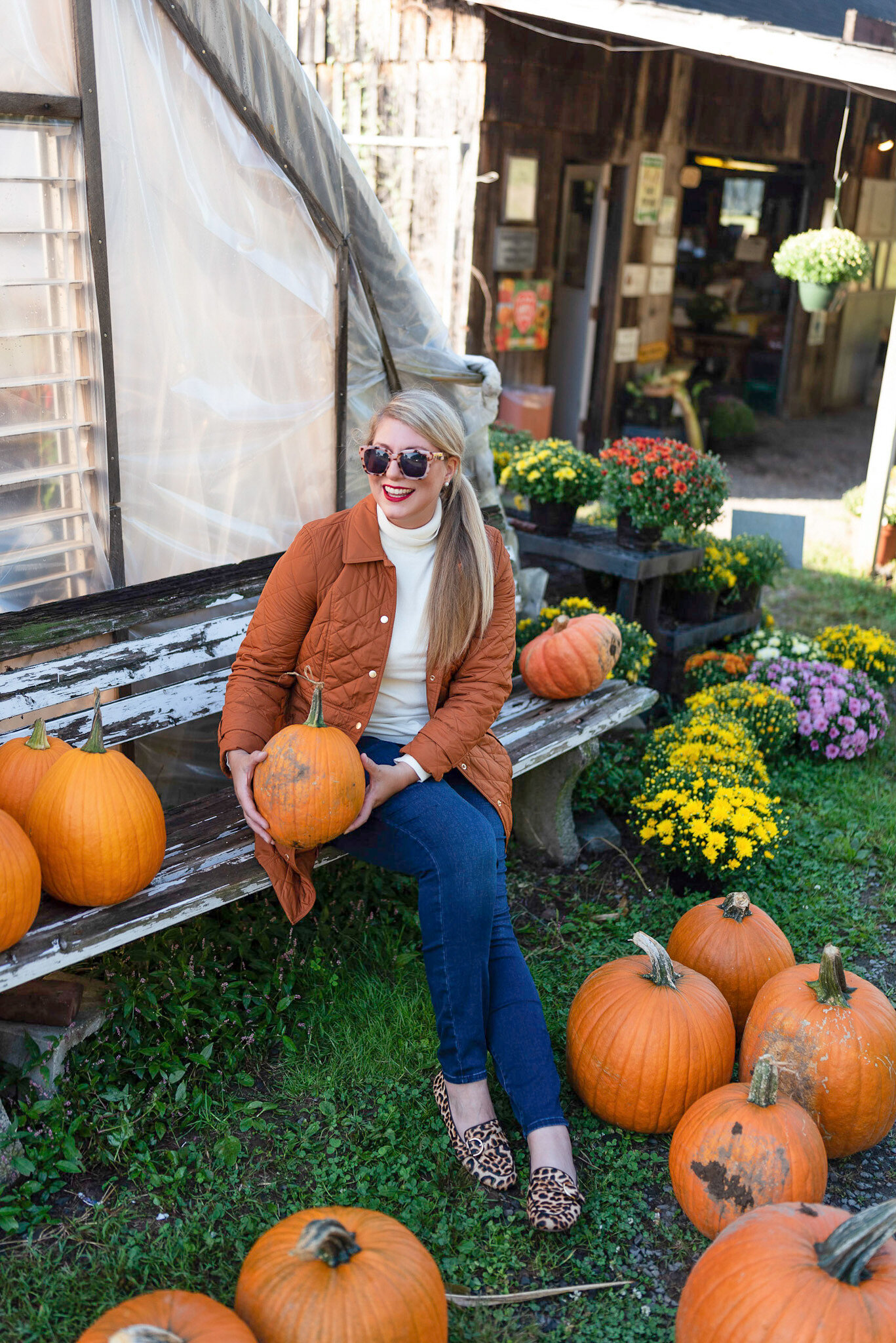 Talbots Fall Favorites for Modern 