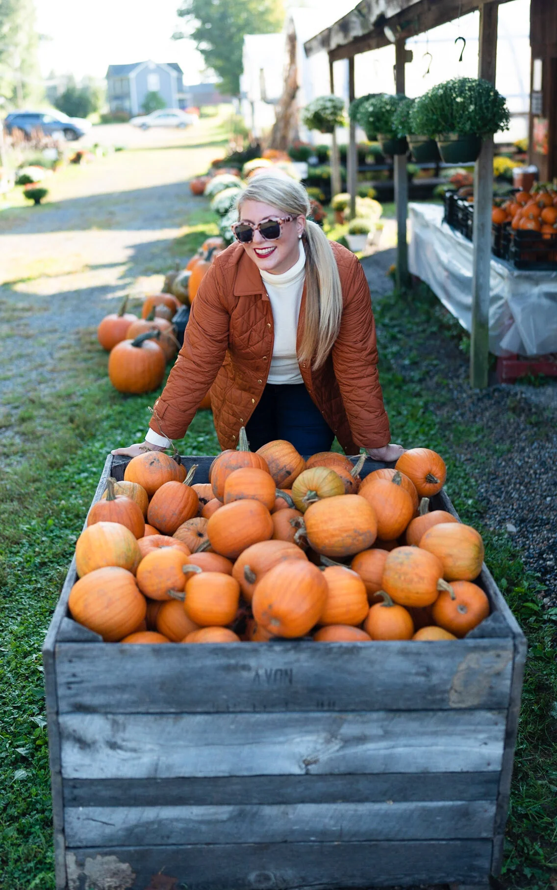 Talbots Fall Favorites for Modern 