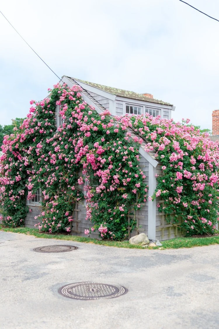 2023 Spring &amp; Summer Travel Features