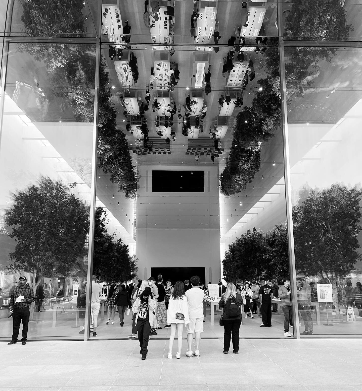 The new Apple store at The Grove in Los Angeles is a reimagined brand experience. Apple has always done an incredible job integrating their brand into every single touchpoint including guest experience, packaging, product and service. This store has 