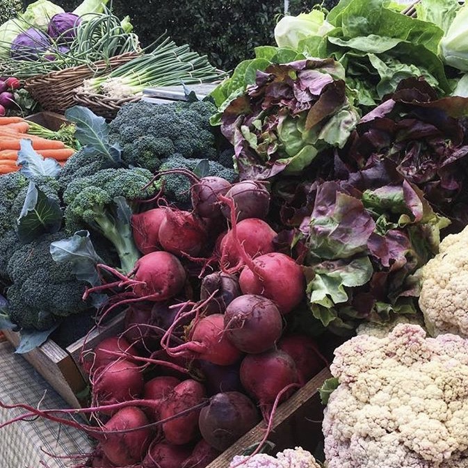 veggie-box.jpg