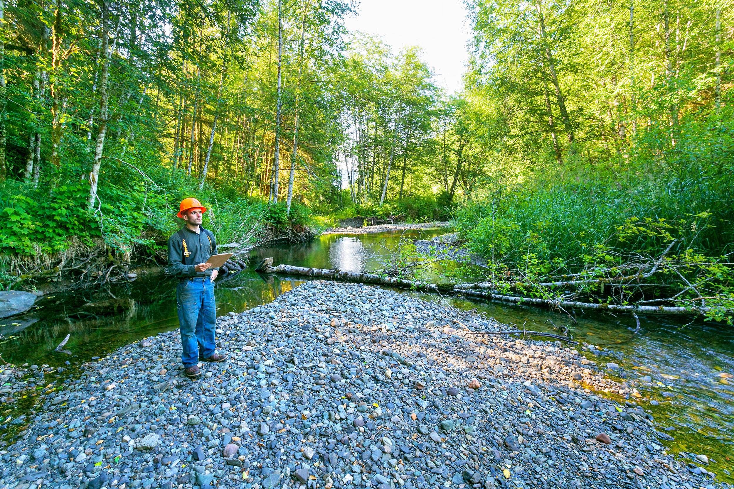 JLC-bear_creak-IMG_3544-1.jpg