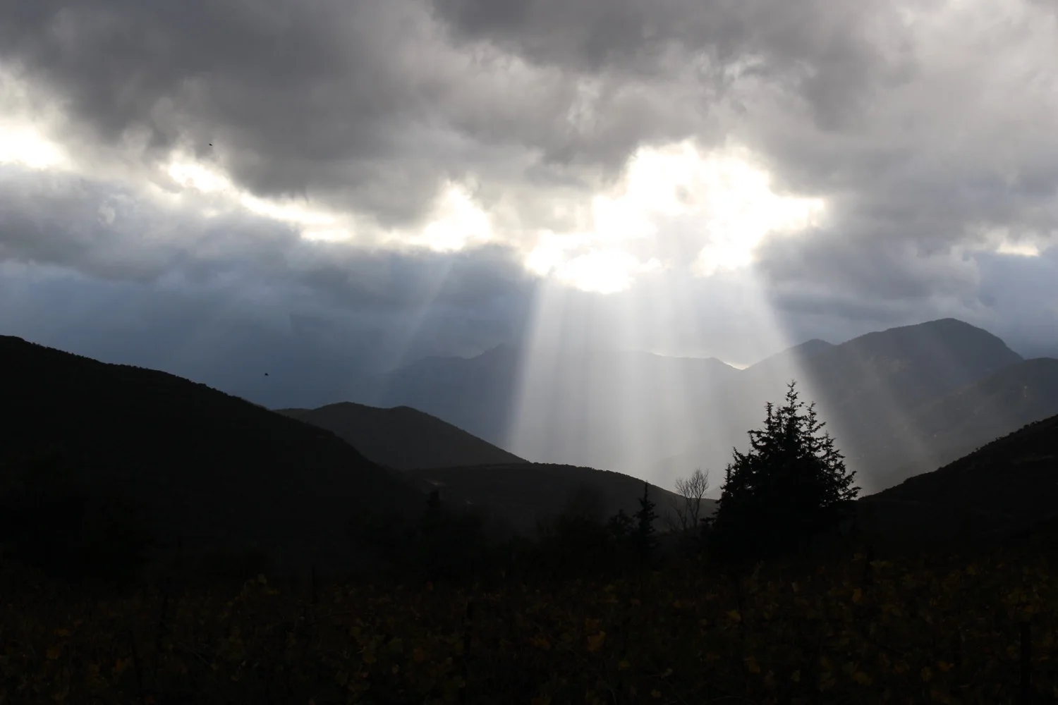 Stymphalia Valley, Corinthia, Peloponnese