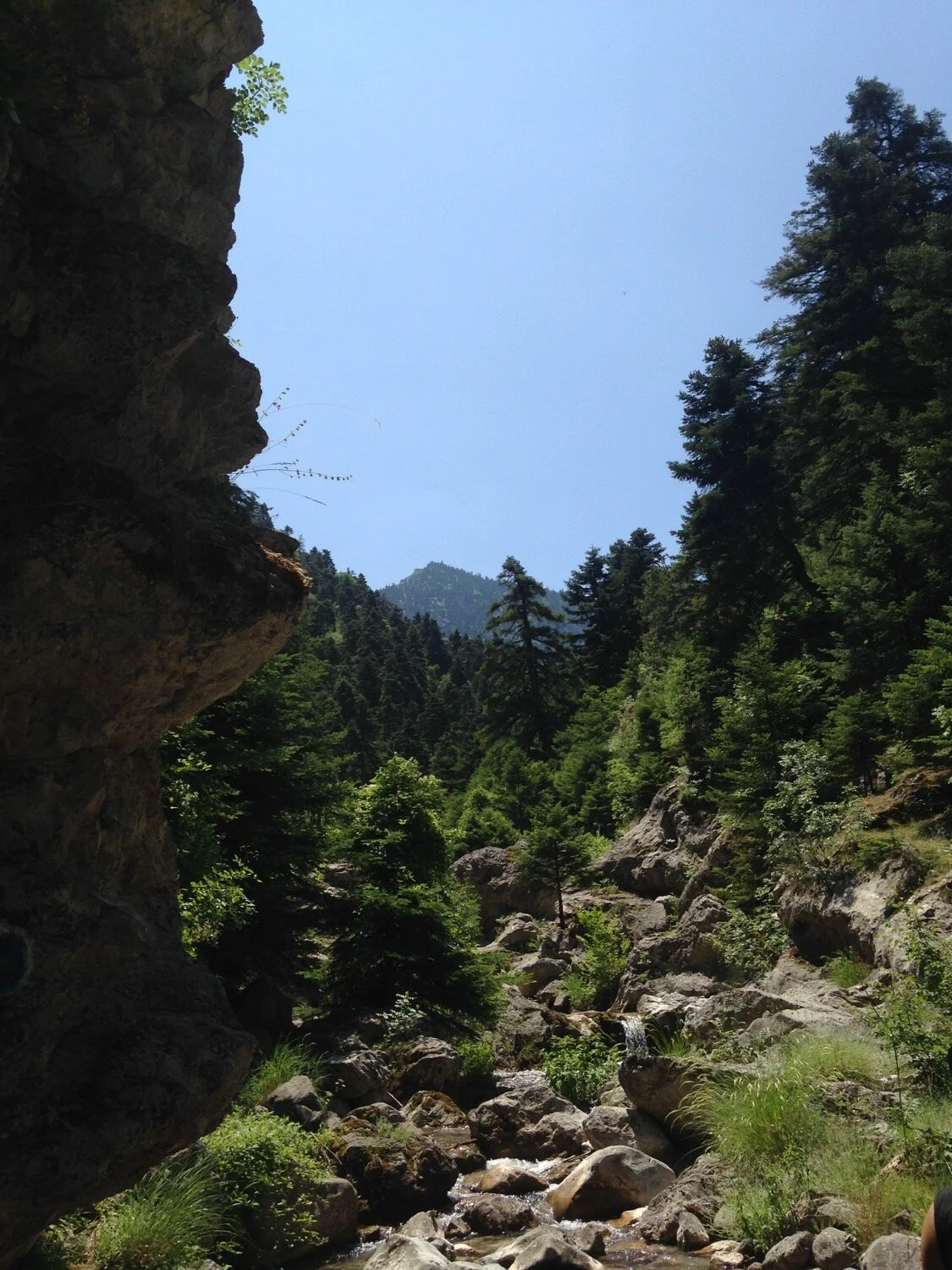 Trees lining a rocky river bed on Mount Parnassos