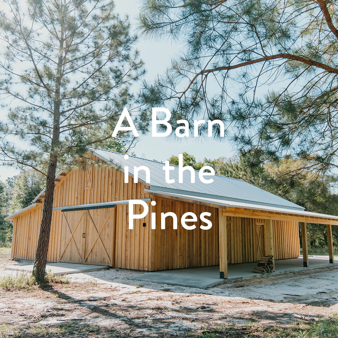 FC_portfolio_A Barn in the Pines.jpg