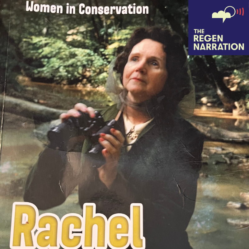 293. Pilgrimage to Rachel Carson’s Edge of the Sea