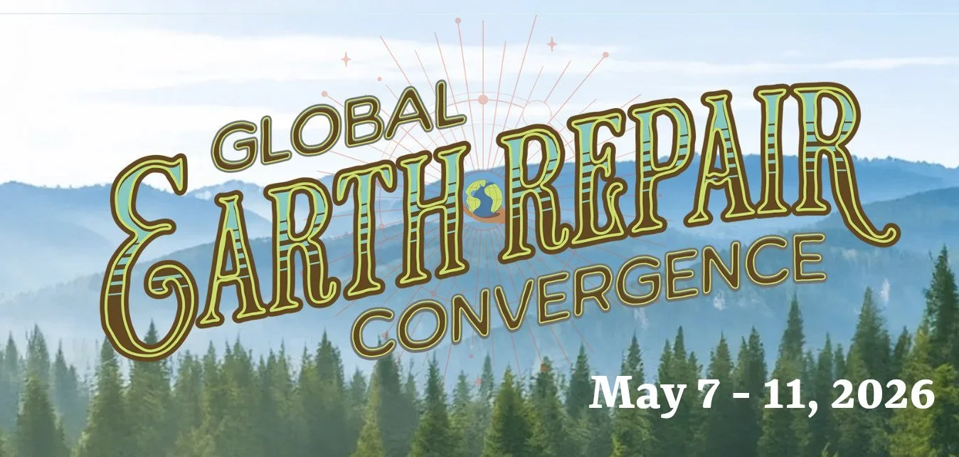 Global Earth Repair Convergence