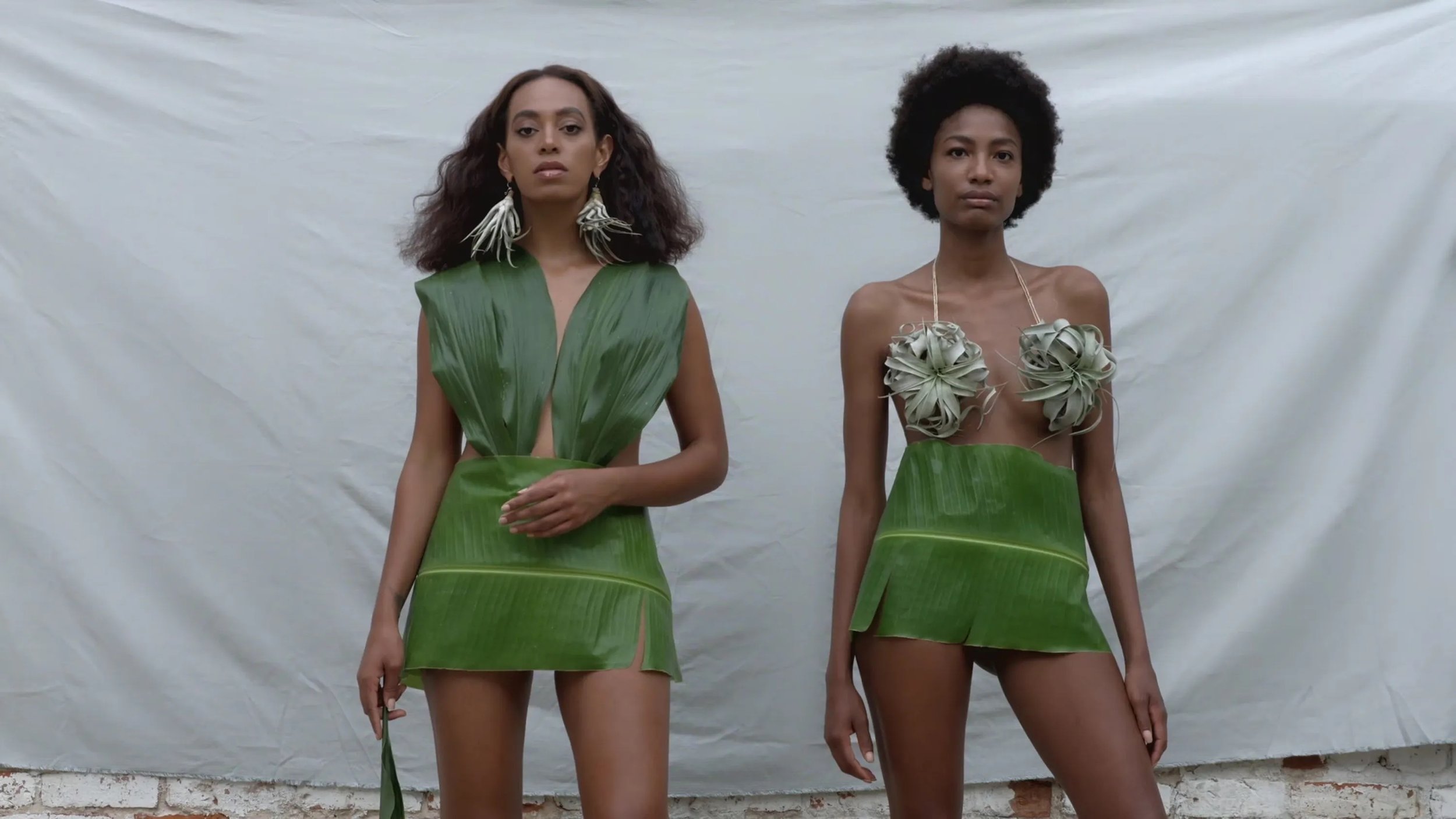 Solange - Cranes in the Sky (Video)