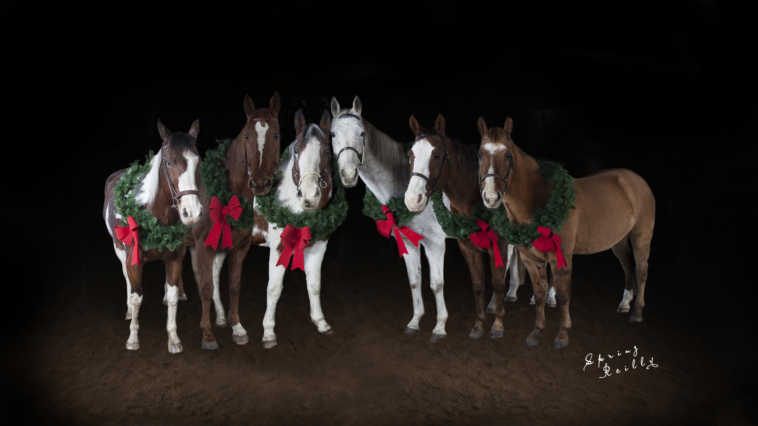 Christmas Horses SR.jpg