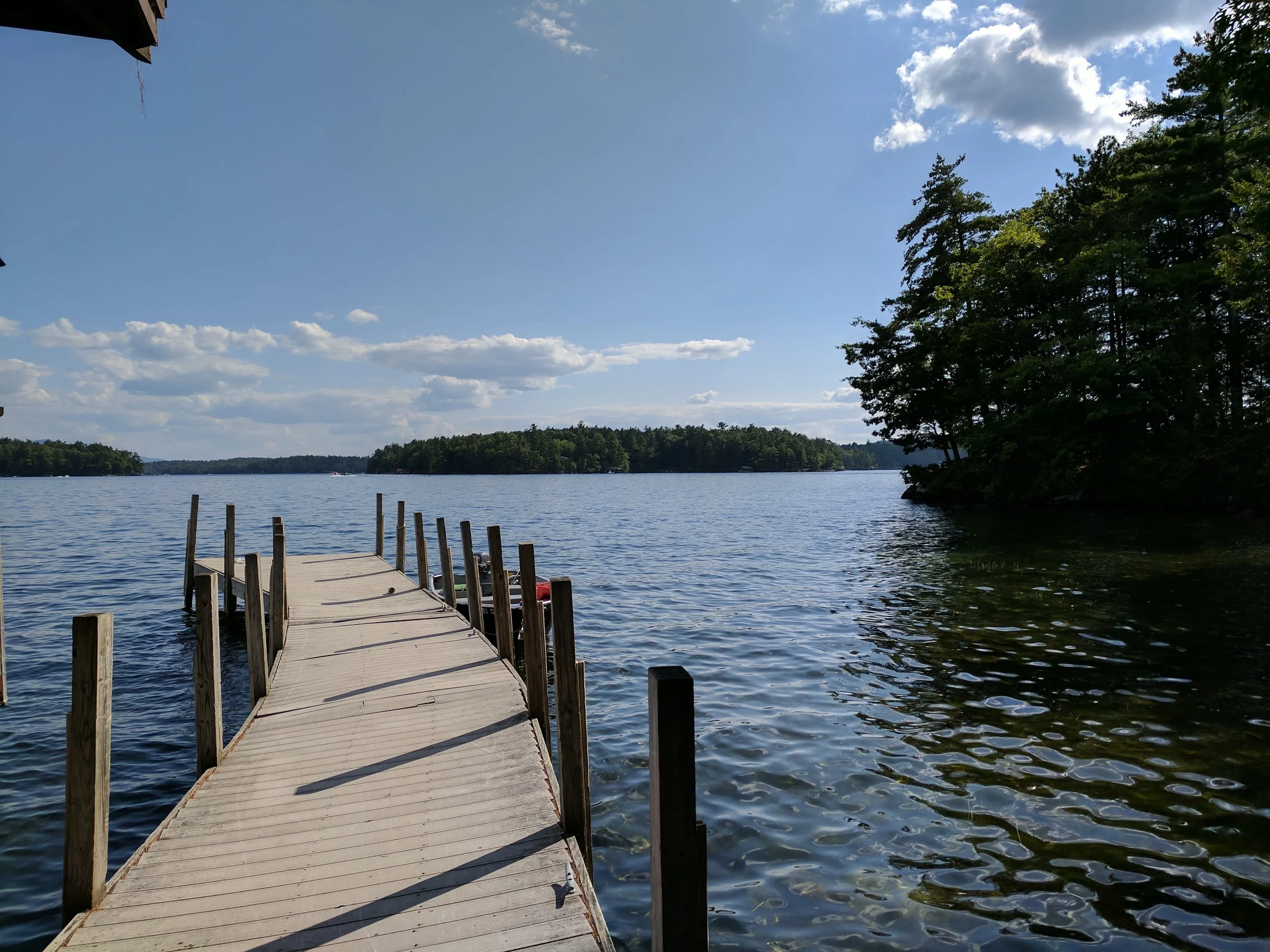 Summer Week 3