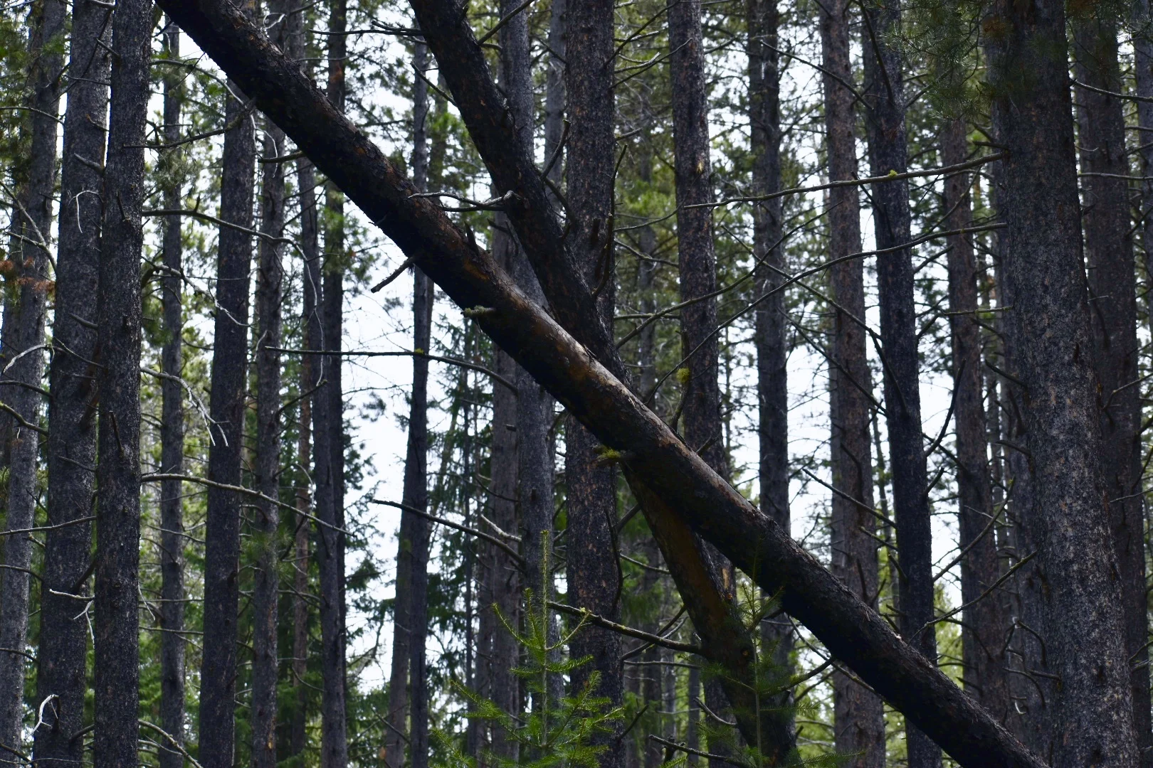 DSC_0760.jpg