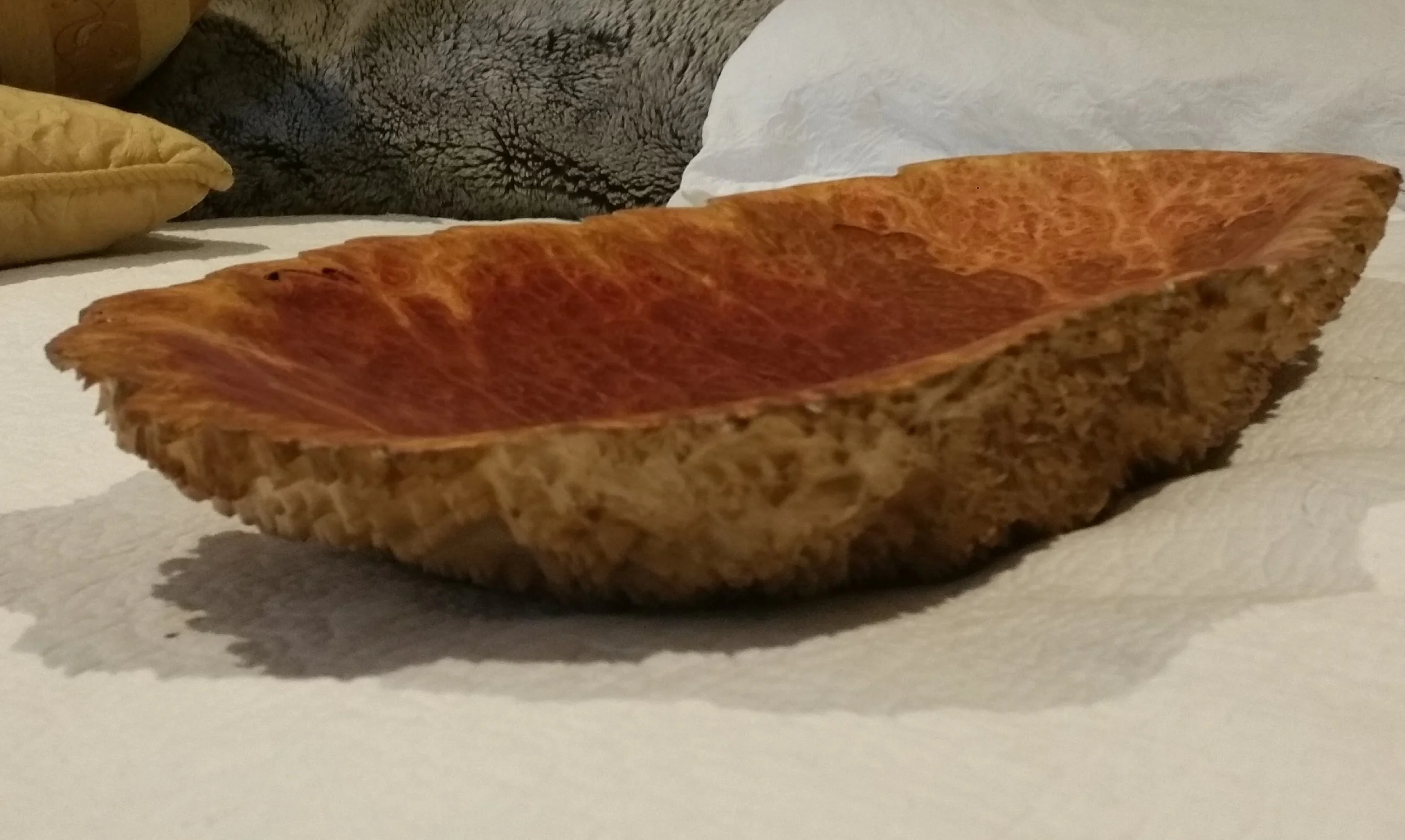 20181123_162153.jpg