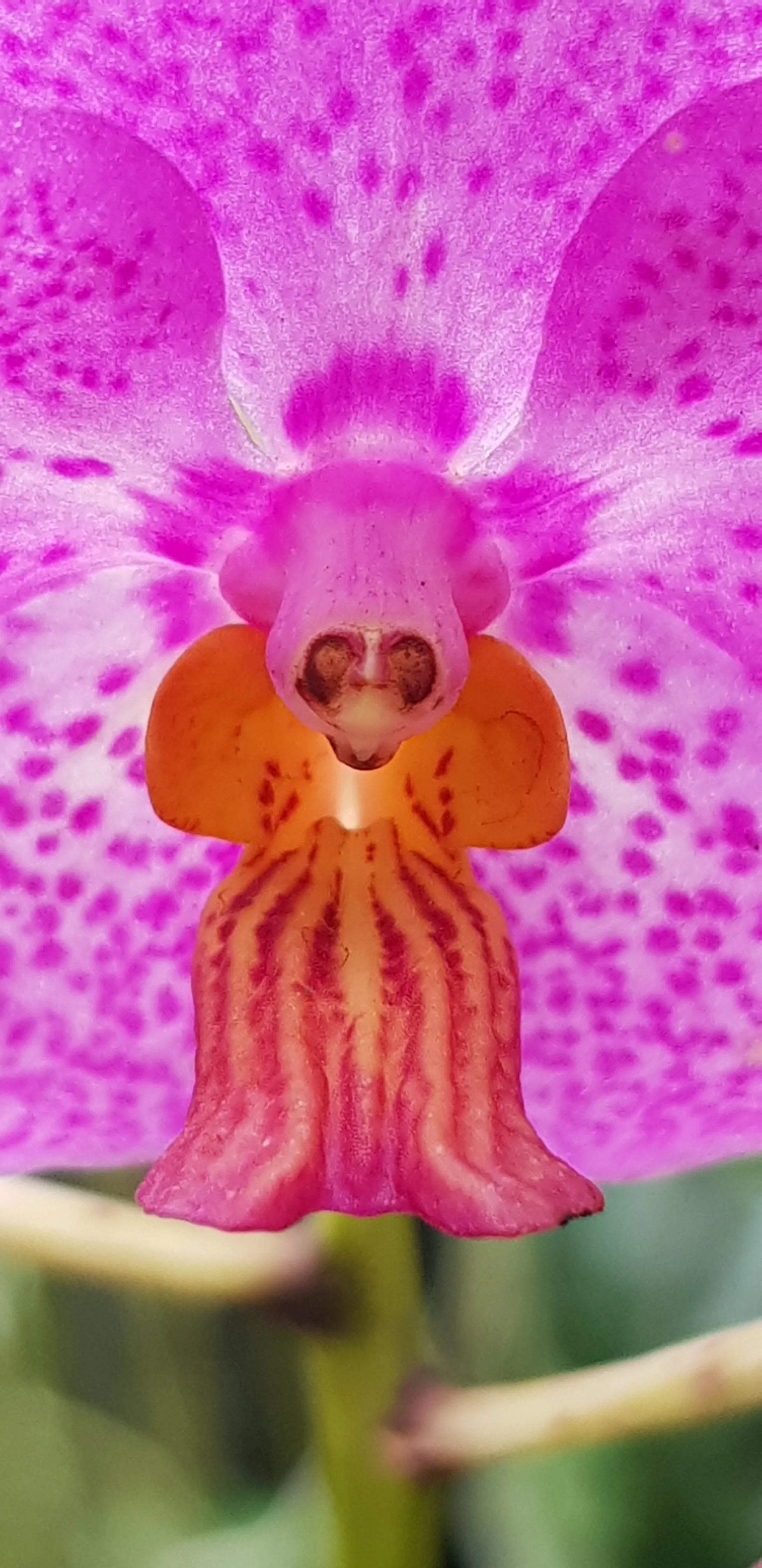 20180906_135829.jpg