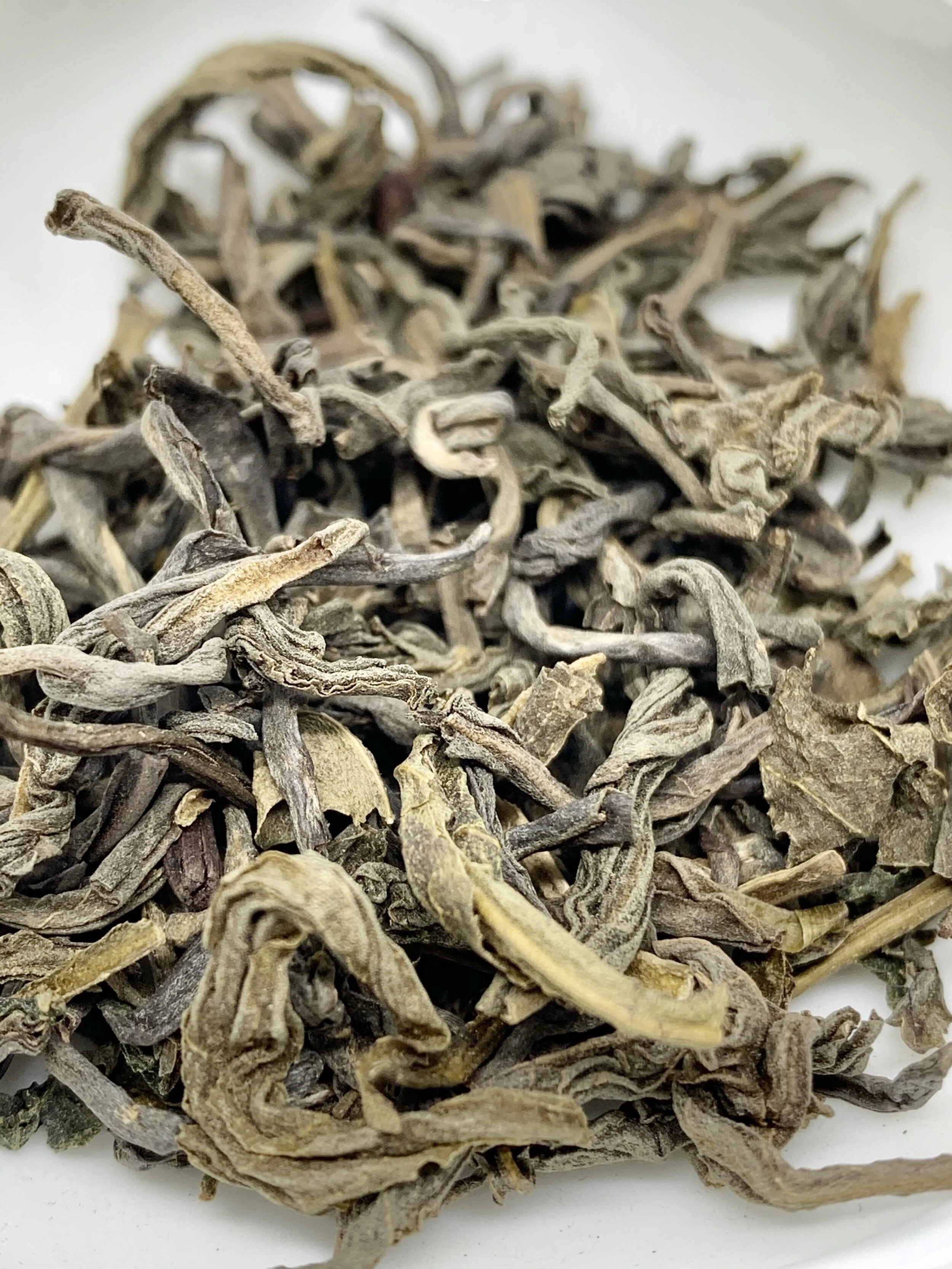 Basel Oolong Tea - Must Try! - Spring 2021 Tea