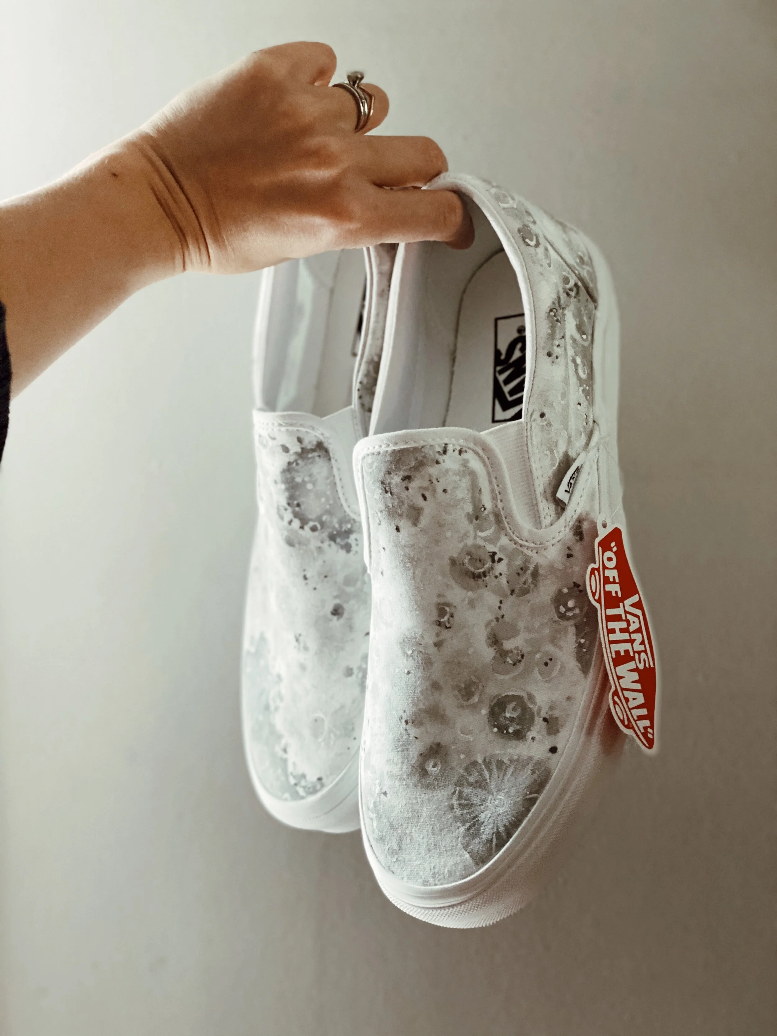 Custom Moon VANS co-mission.