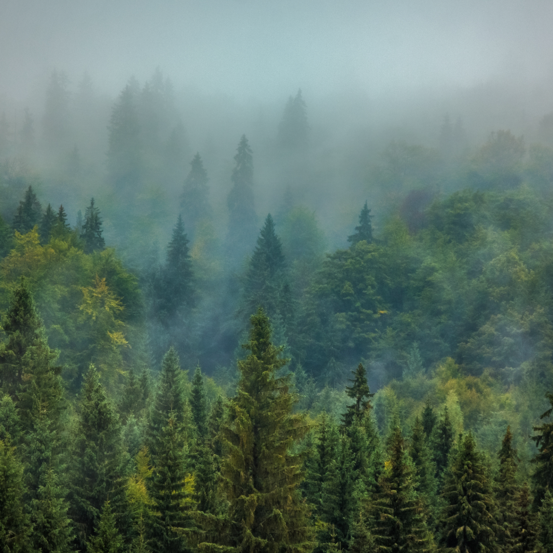We can’t outsmart ‘Nature’