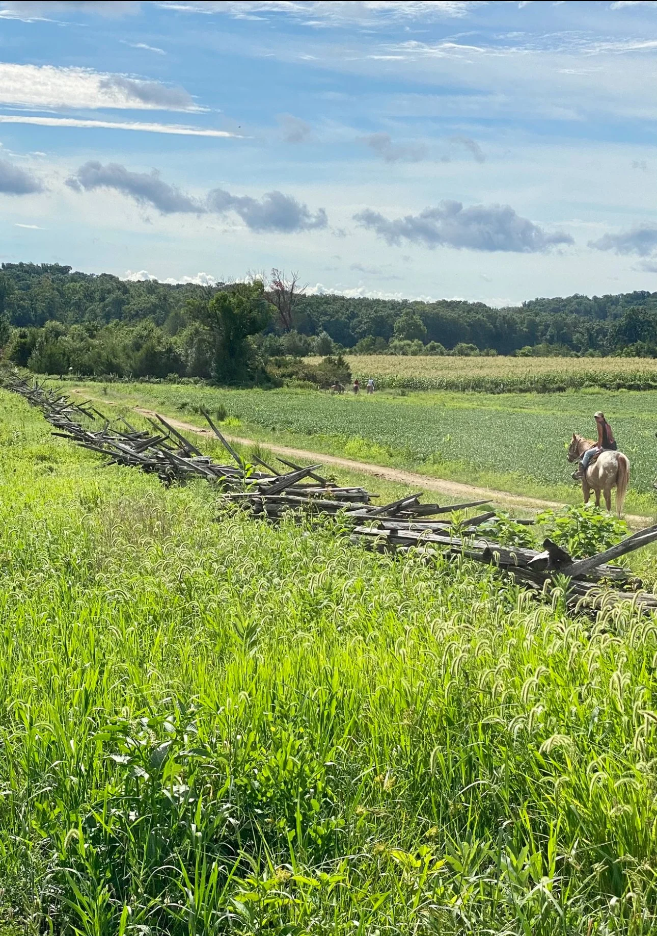 The Power of Stillness 