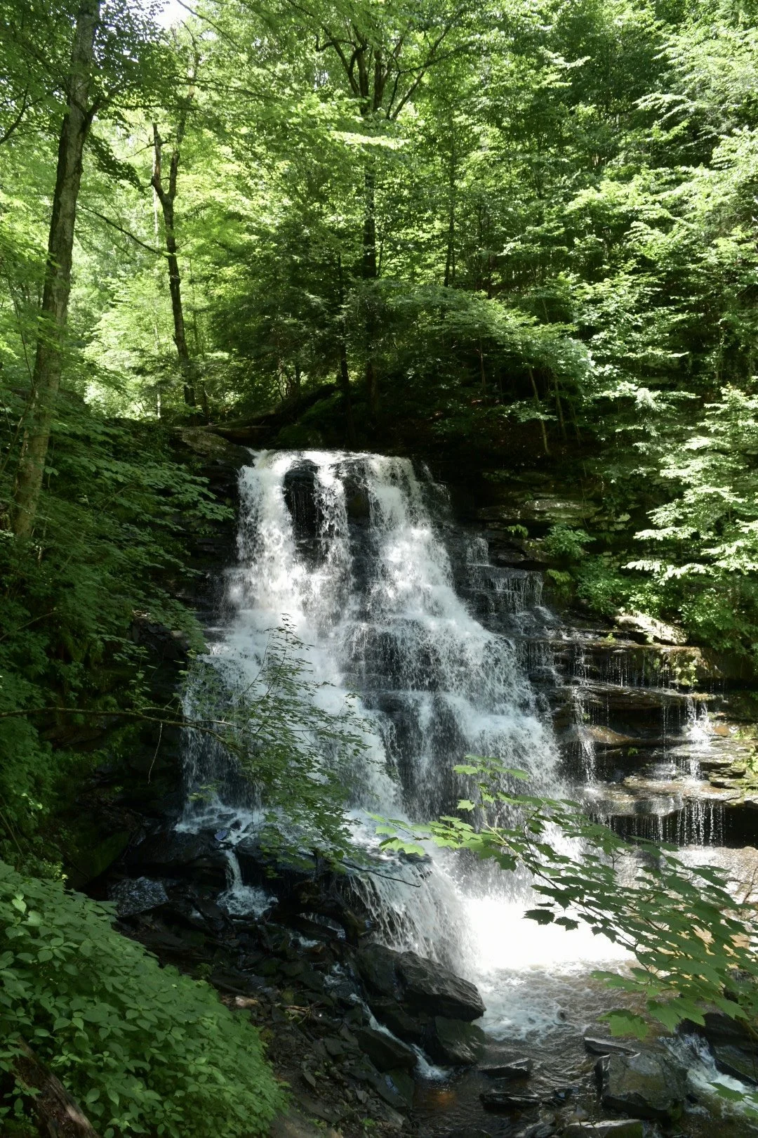  Calming Your Nervous System After Too Much Caffeine