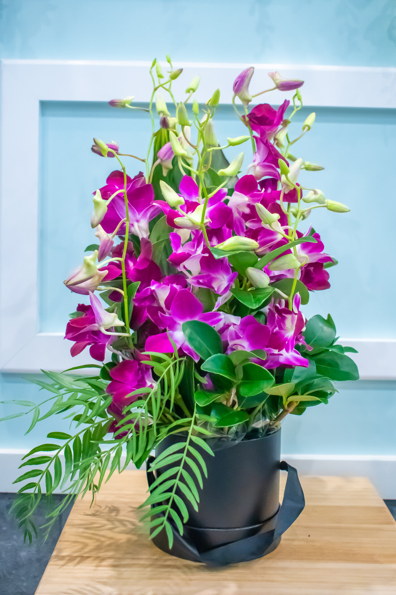 Purple Orchids