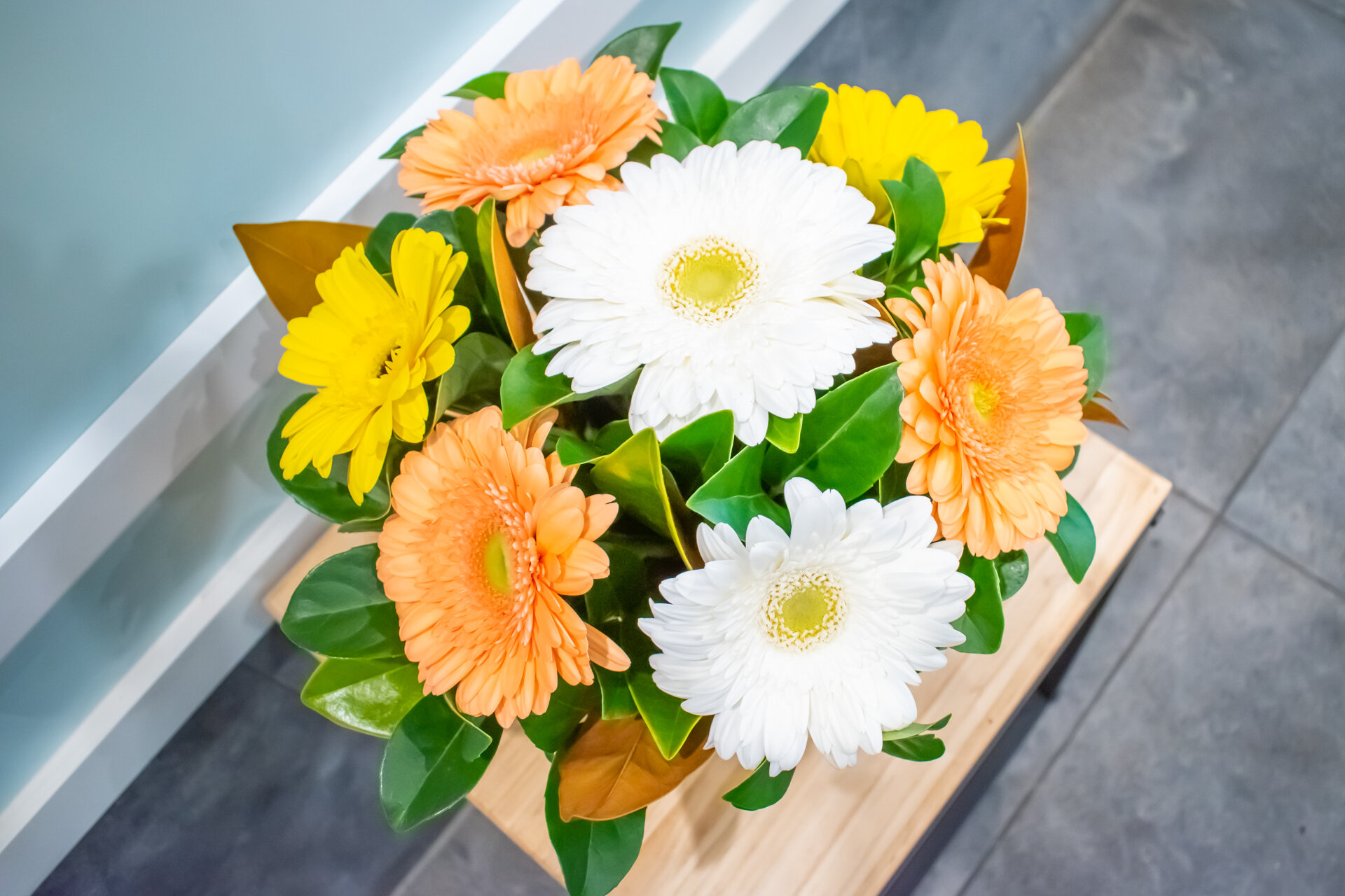 FT_Tropical Gerberas_03.jpeg