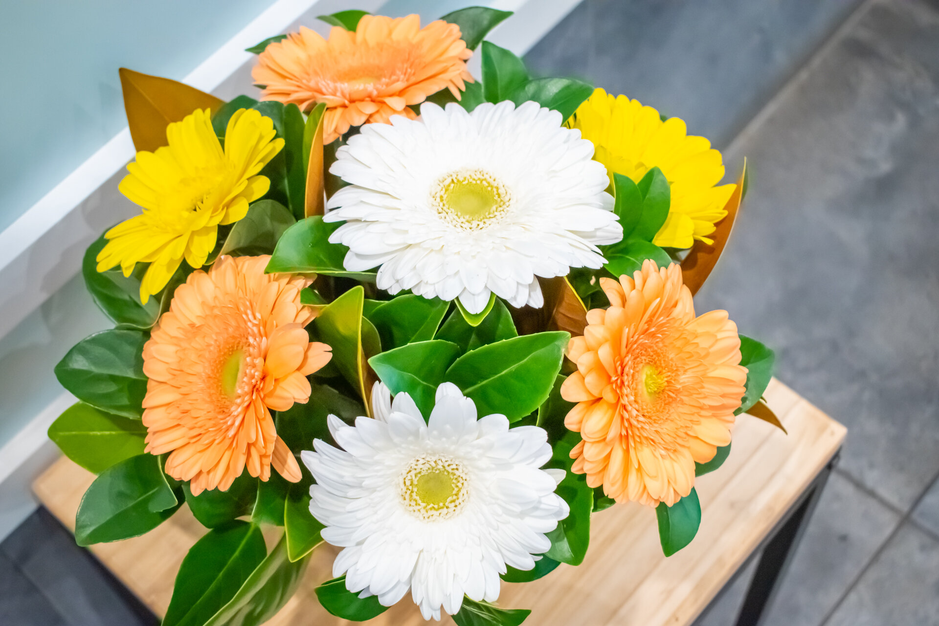 FT_Tropical Gerberas_11.jpeg