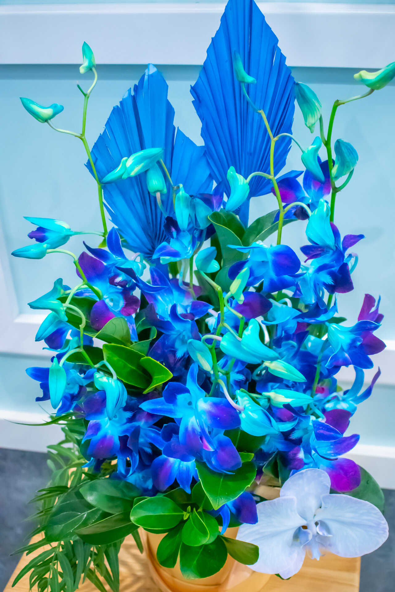 FT_Blue Singapore Orchids_05.jpeg