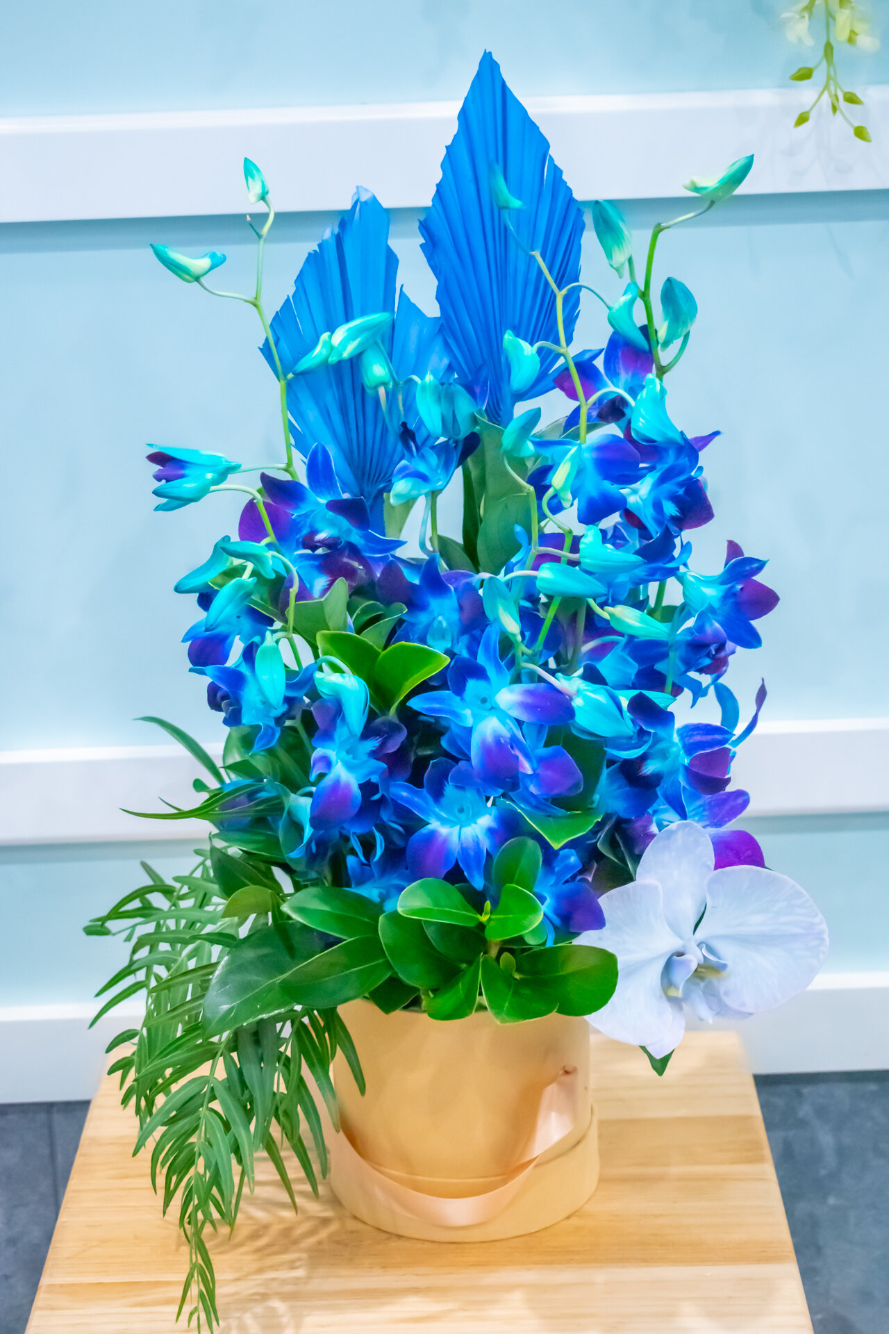 Blue Orchids