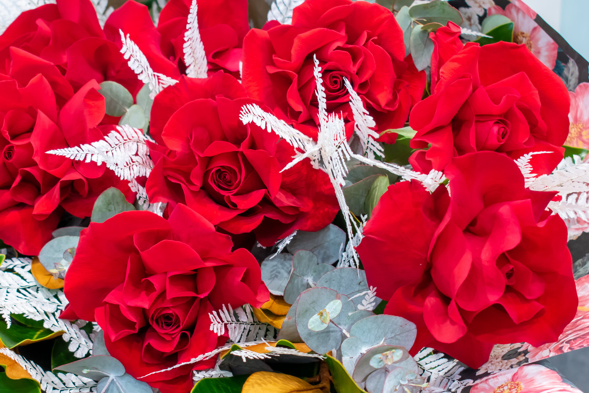 FT_Red Roses Bouquet_04.jpeg