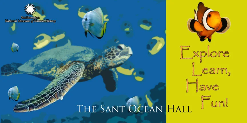 Promotional poster for the Smithsonian National Museum of Natural History's Sant Ocean Hall, featuring a sea turtle, tropical fish, and the phrase "Explore, Learn, Have Fun!"