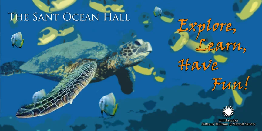 Graphic of a sea turtle swimming with fish; text: "The Sant Ocean Hall: Explore, Learn, Have Fun!" Smithsonian National Museum of Natural History logo included.