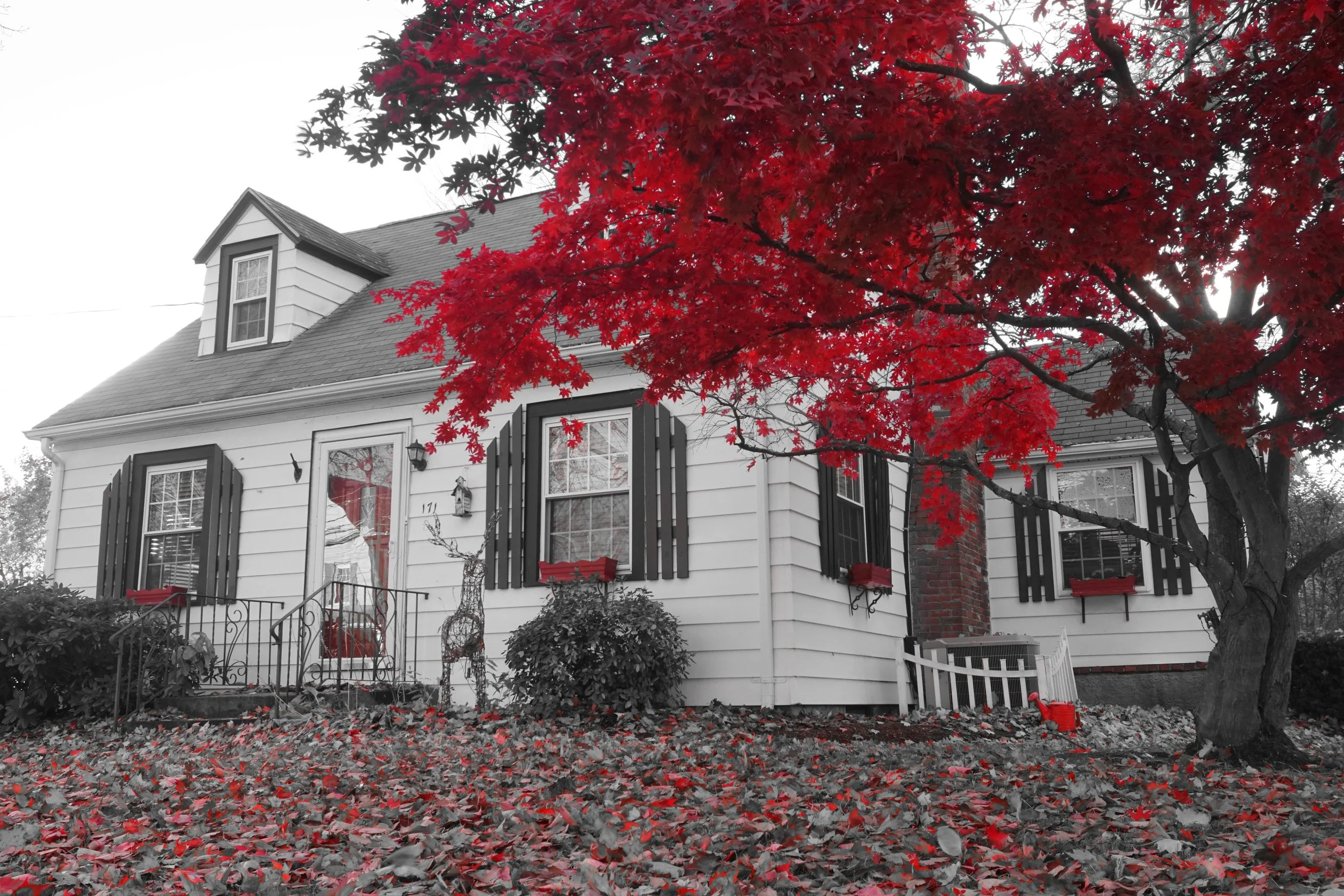 Fall_Leaves_Stoneham_MA_02.jpg