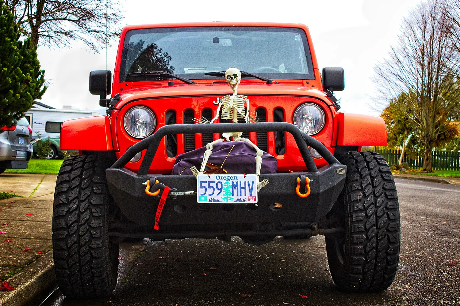 Scary Ride