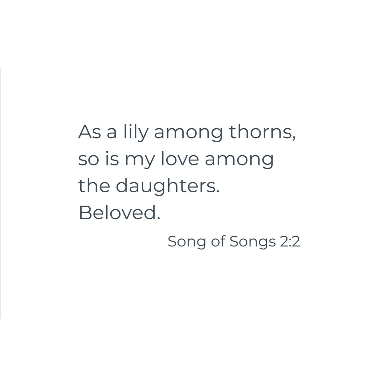 Lily+Among+Thorns+Booklet++Inside.jpg