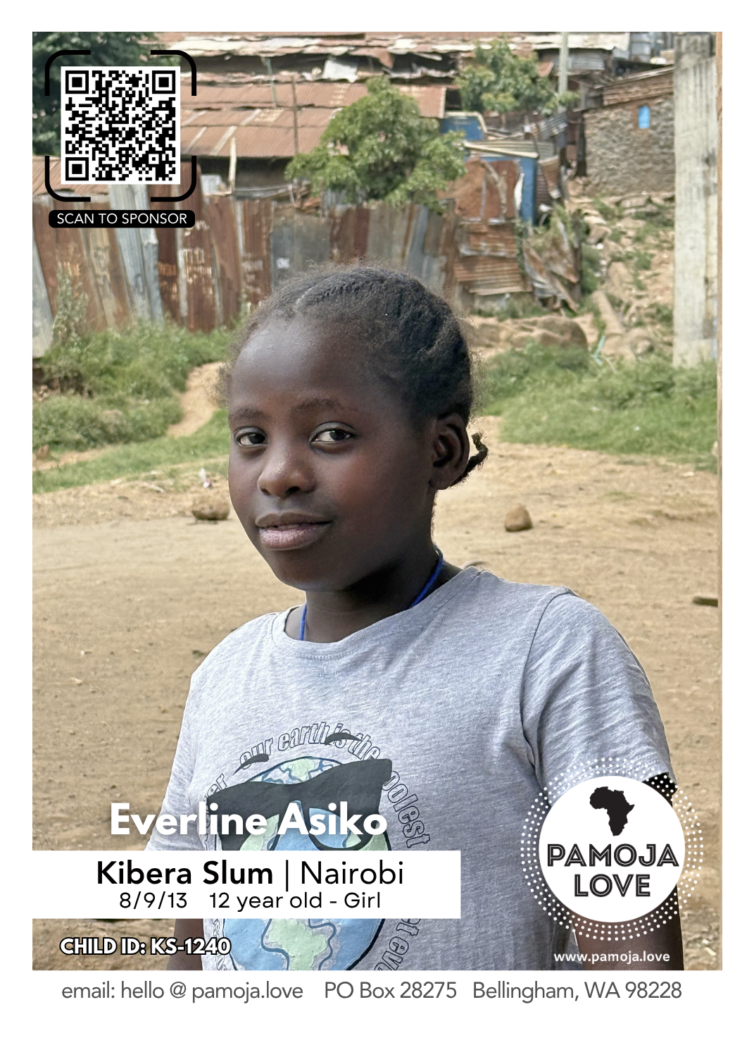 Everline ASiko | KS-1240