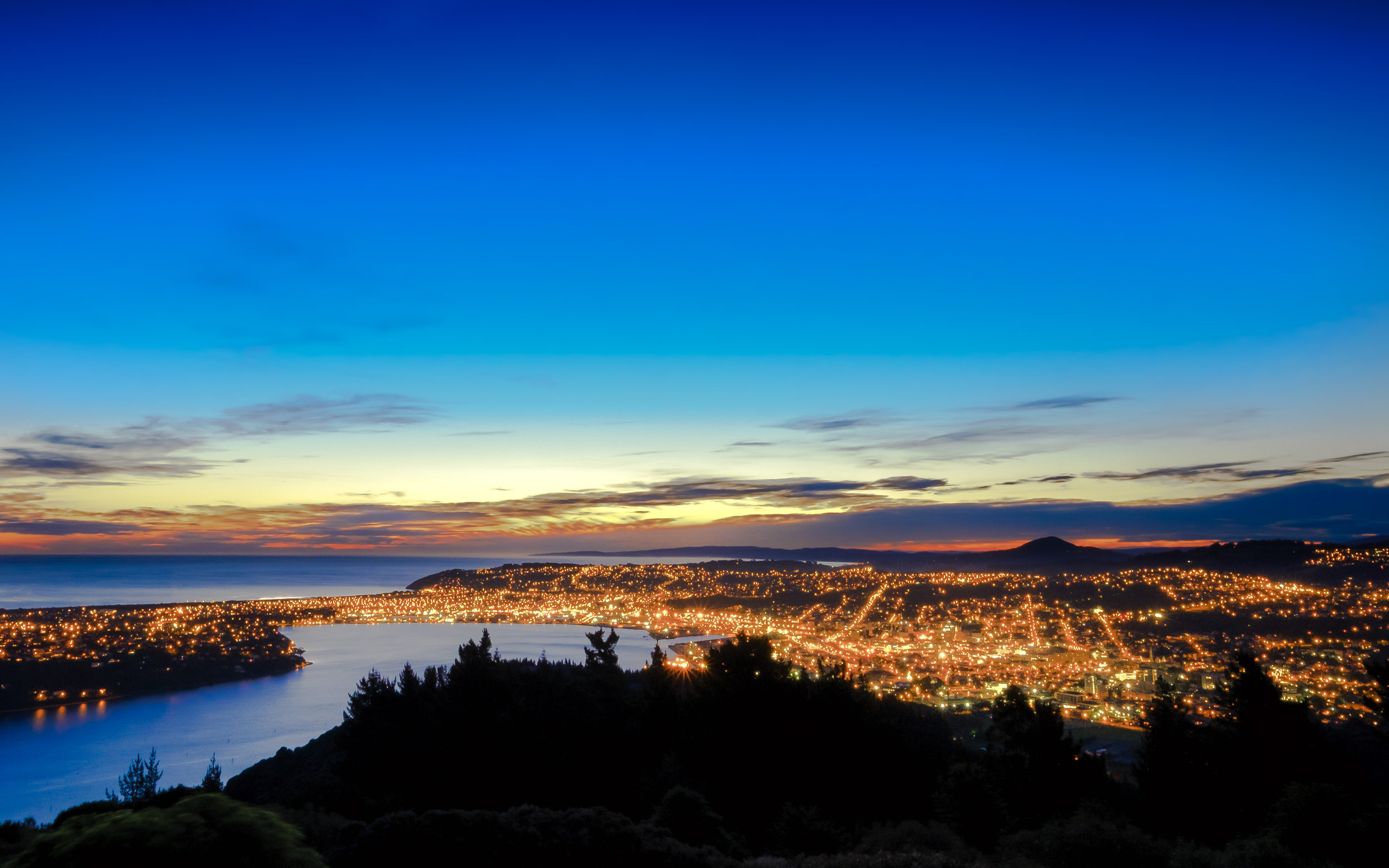 Dunedin nightscape.jpg