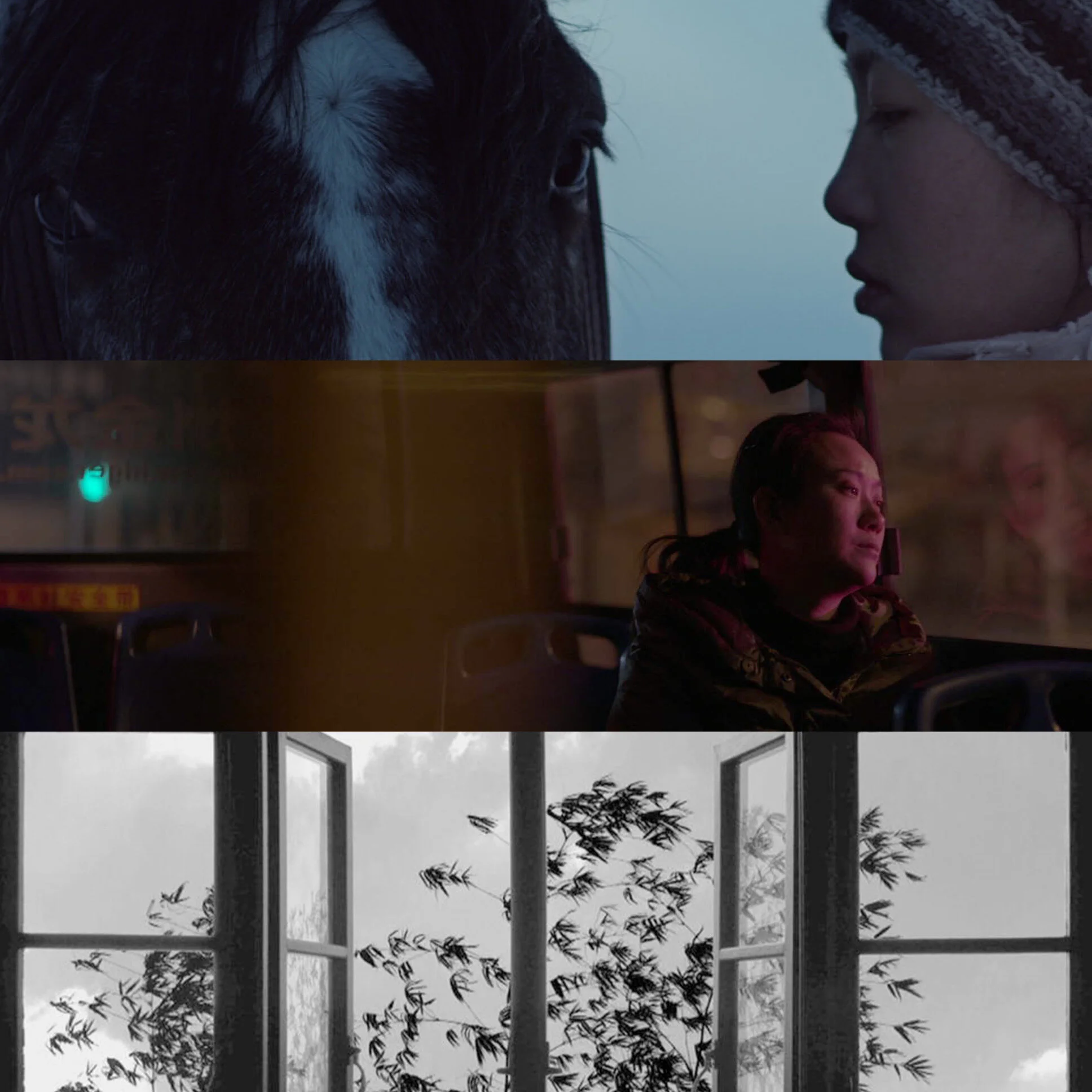 Purple Noon: Episode Thirty ( 24 Frames, Seide, + A Gentle Night)