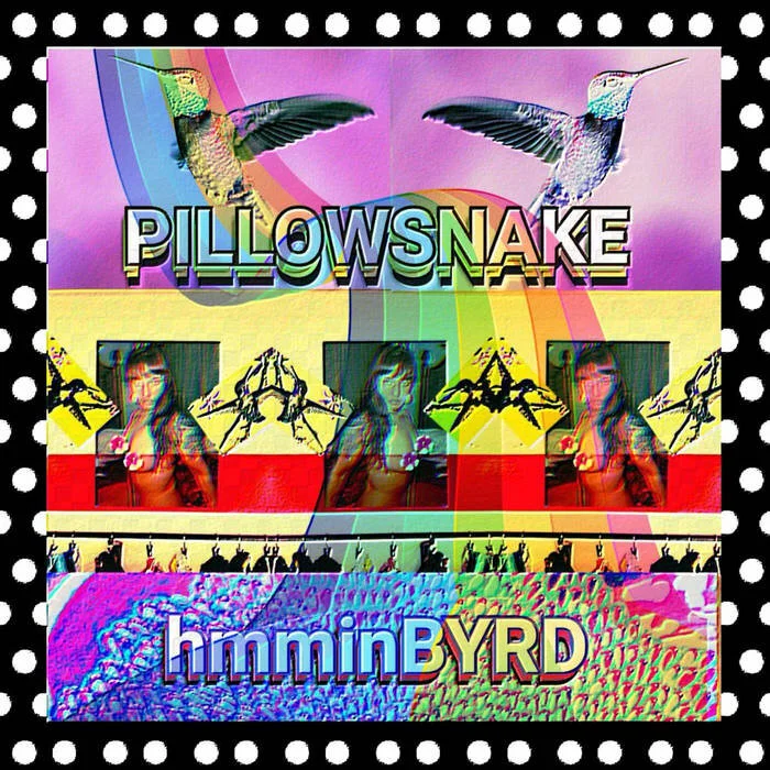 Pillowsnake - hmminBYRD (review)