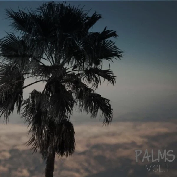 TogetherAsOne - Palms, Vol. 1 (review)