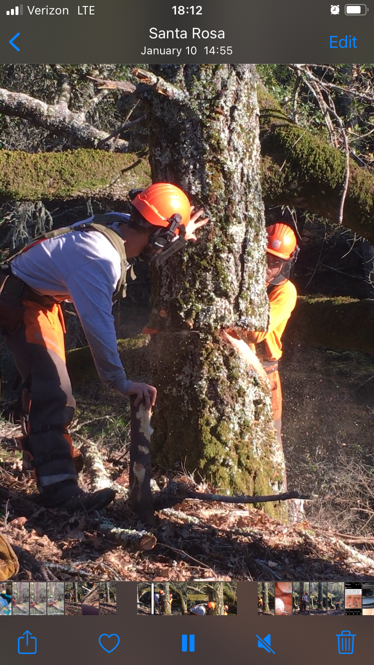Sonoma County Shaded Fuel Break — Spye Conservation Incorporated