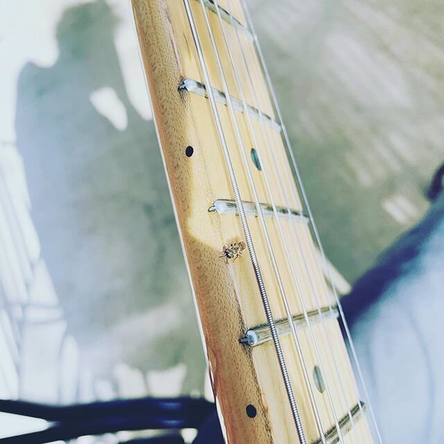 Today&rsquo;s guitar student. This is Robert. 🦟