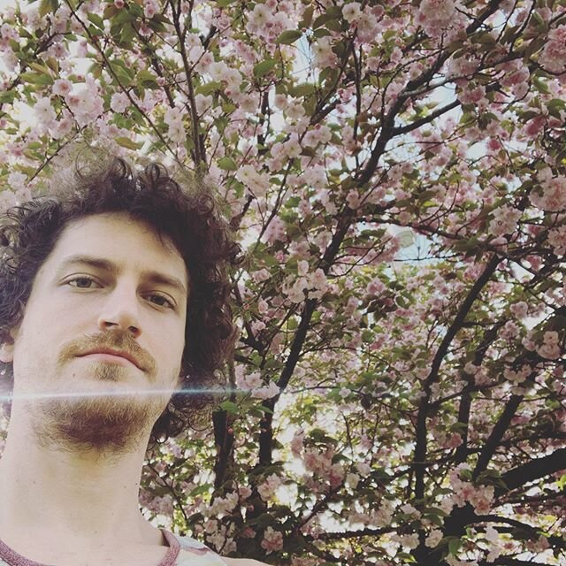 Enjoying this weather. And this tree! 🌳 The bad ALWAYS comes with the good. Stay safe my friends. And DON&rsquo;T LOSE HOPE. Everything is going to be OK.
*
*
*
🌳🛸〰️🎶〰️🛸🌳
*
#jrredfordmusic #tree #nashville #unemployed #itsallgood #loveitwhileyo