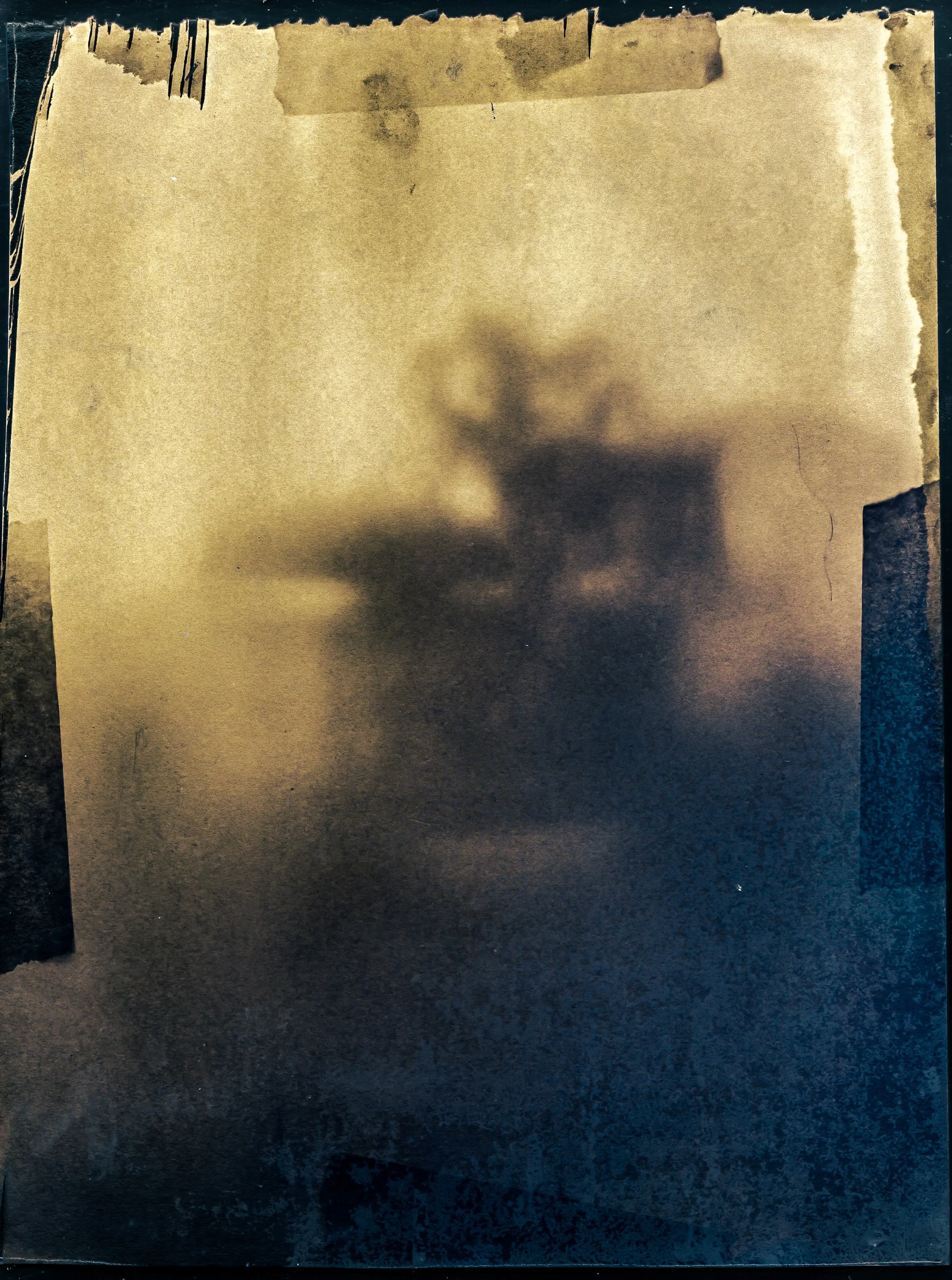 cyanotype camera 3.jpg