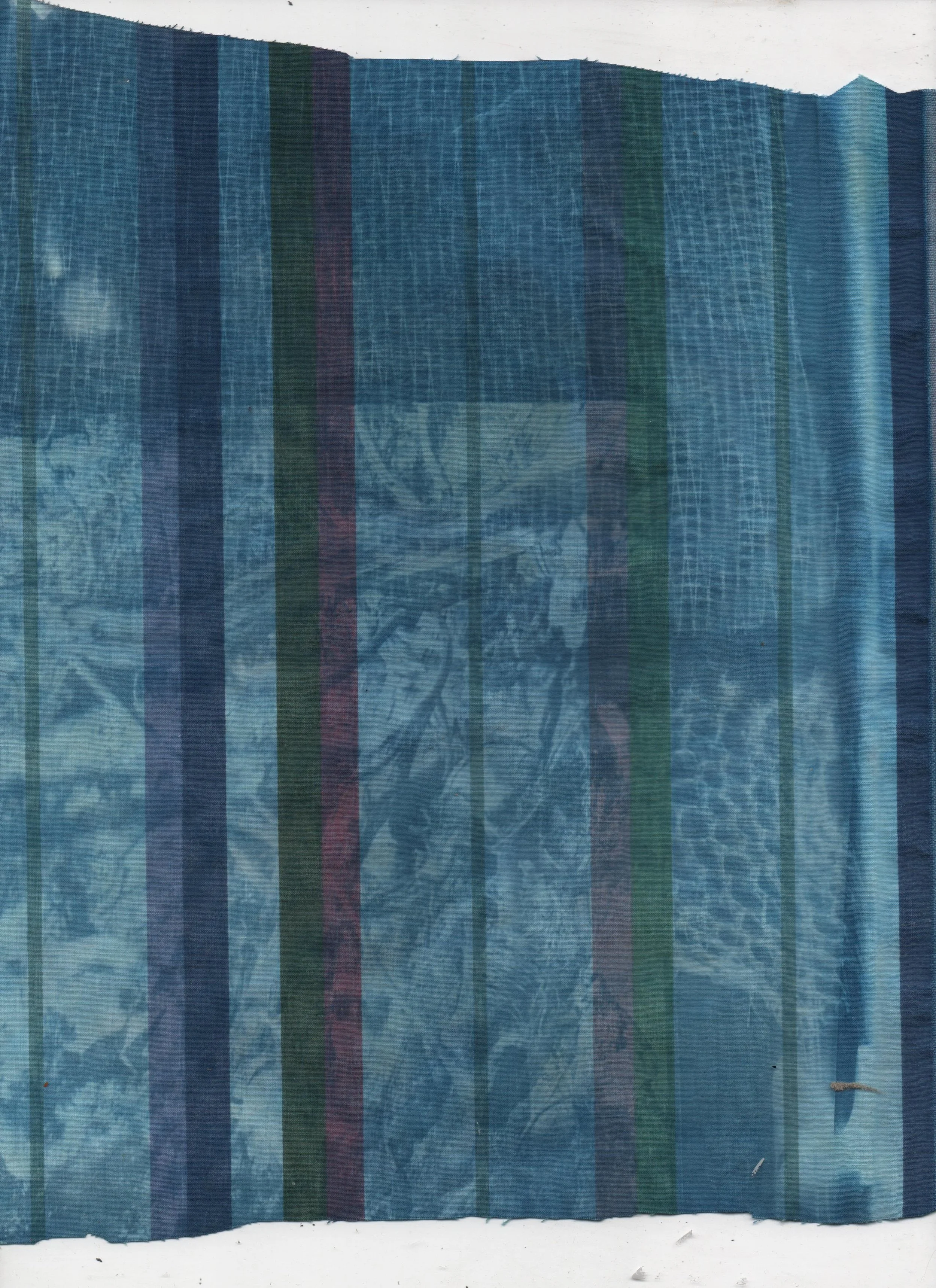 sheet cyanotype.jpeg