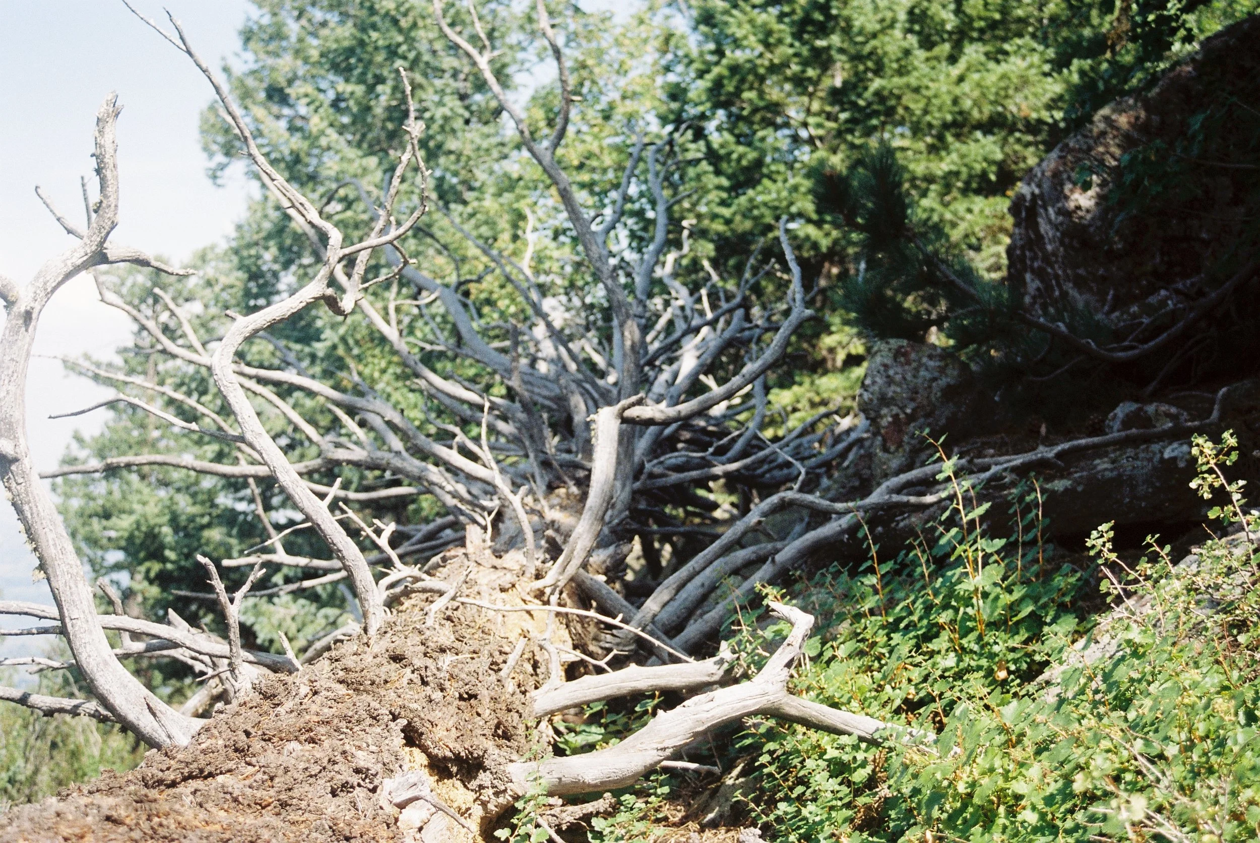 A002402-R1-24-25A.JPG