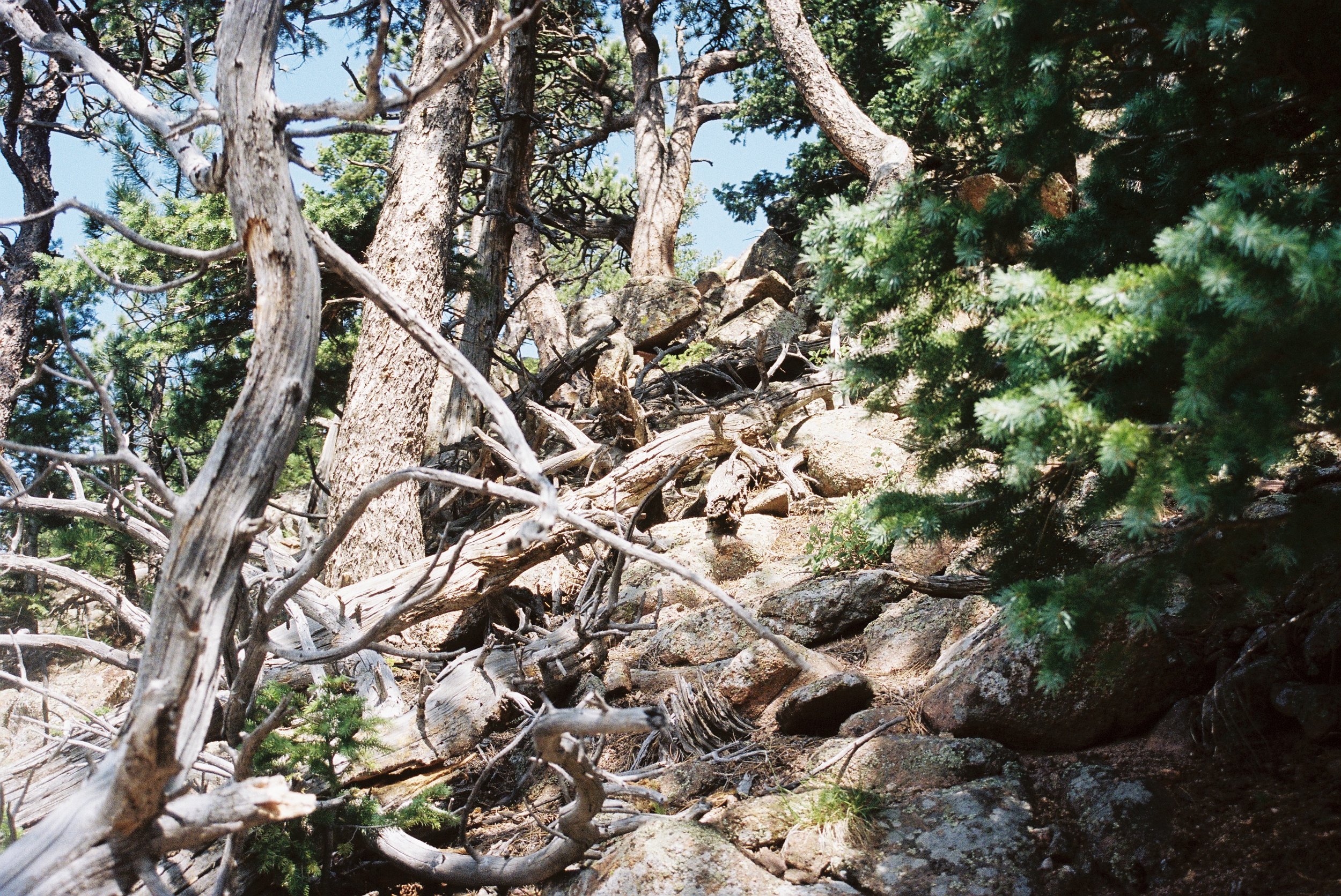 A002402-R1-29-30A.JPG