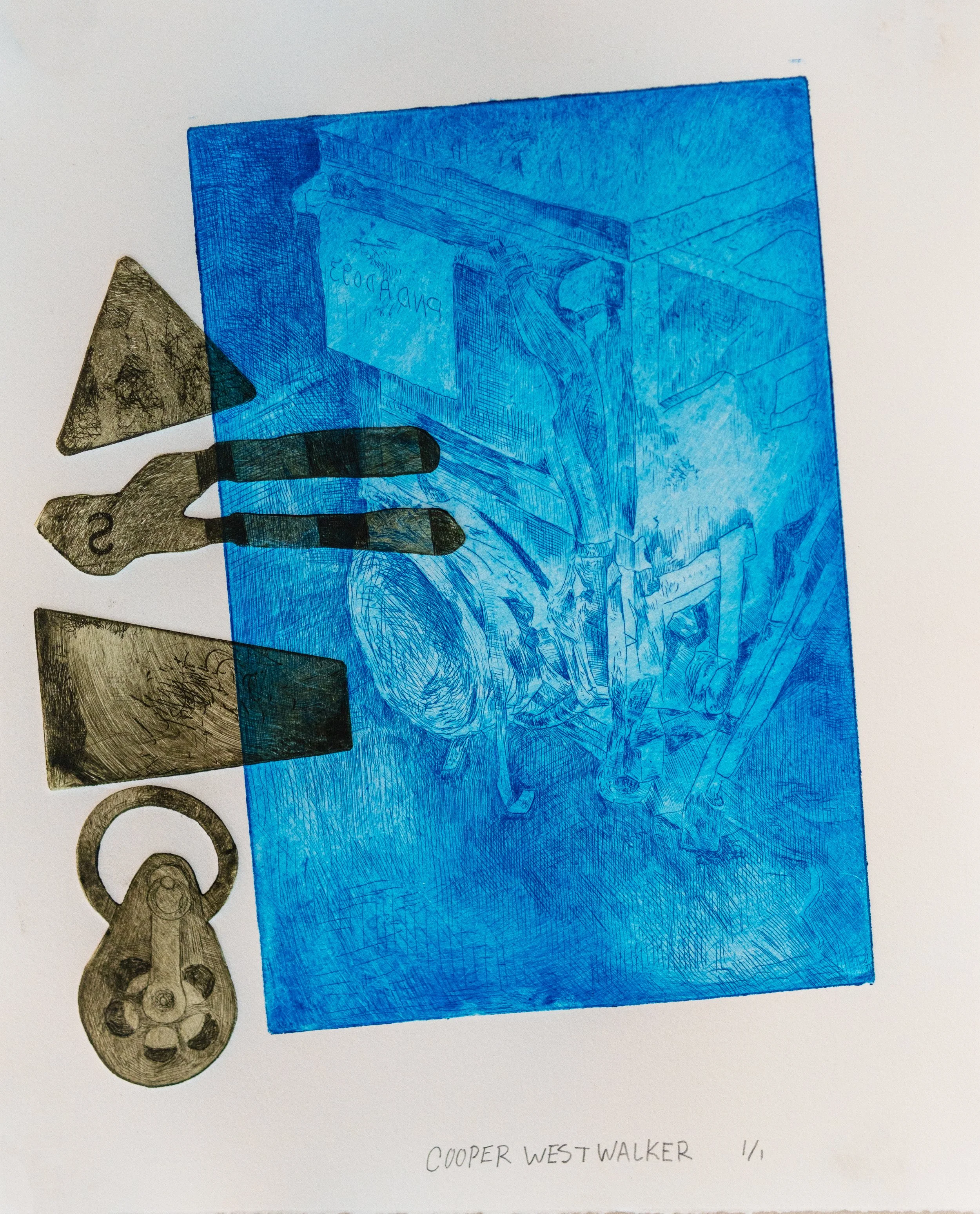 Bug Collection 3.jpg