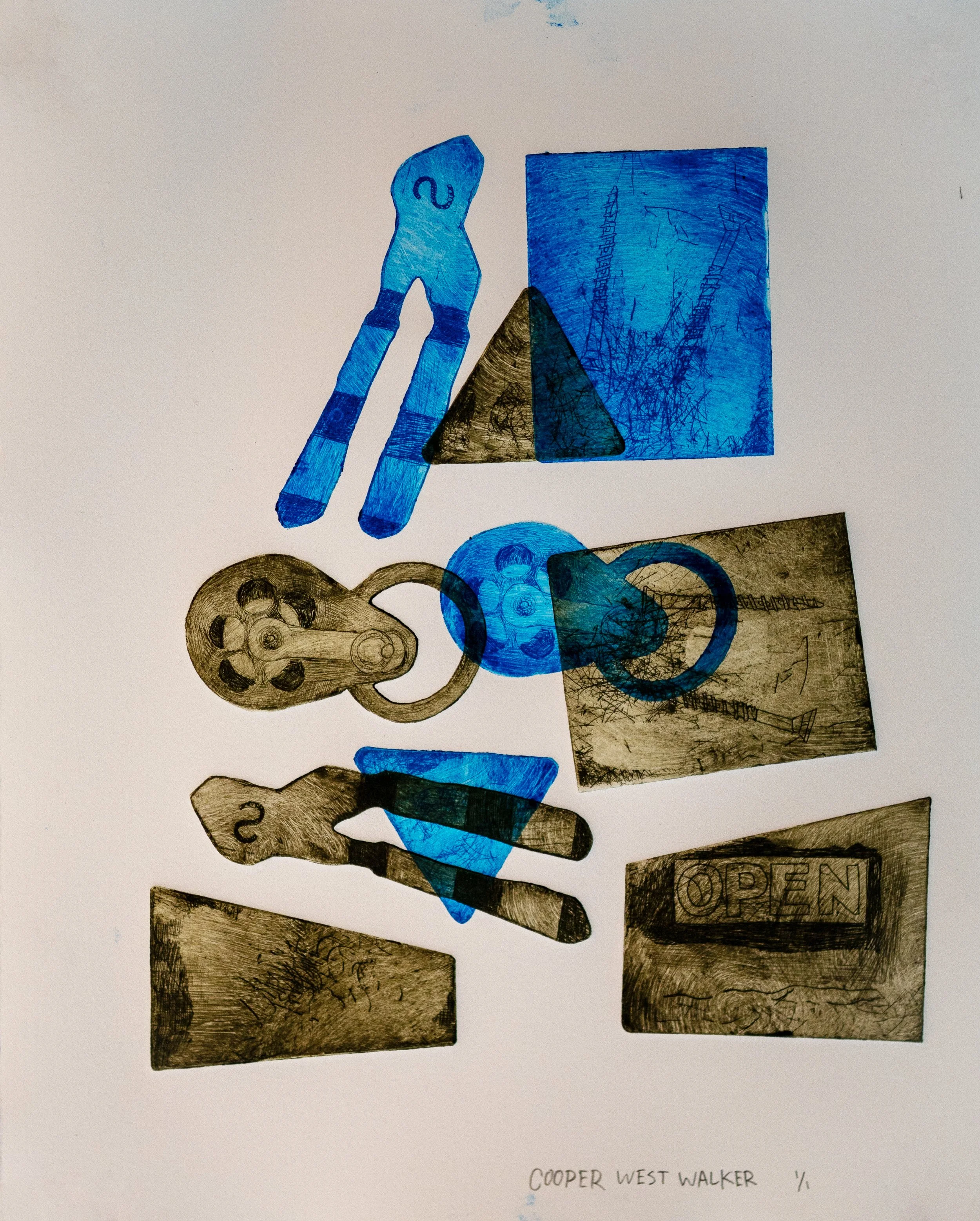 Bug Collection 4.jpg