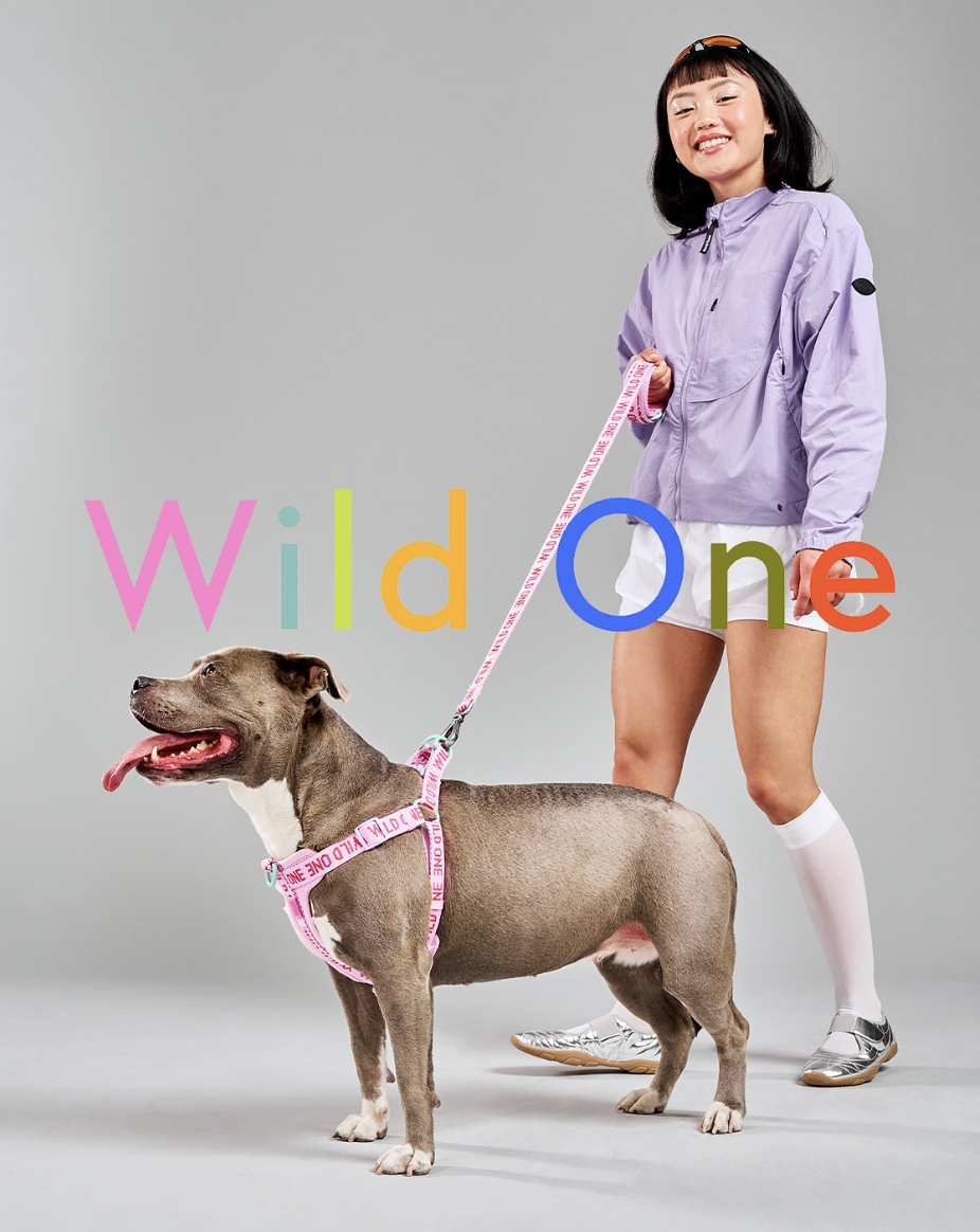 Screenshot 2025-12-18 at 5.17.28 PM.png