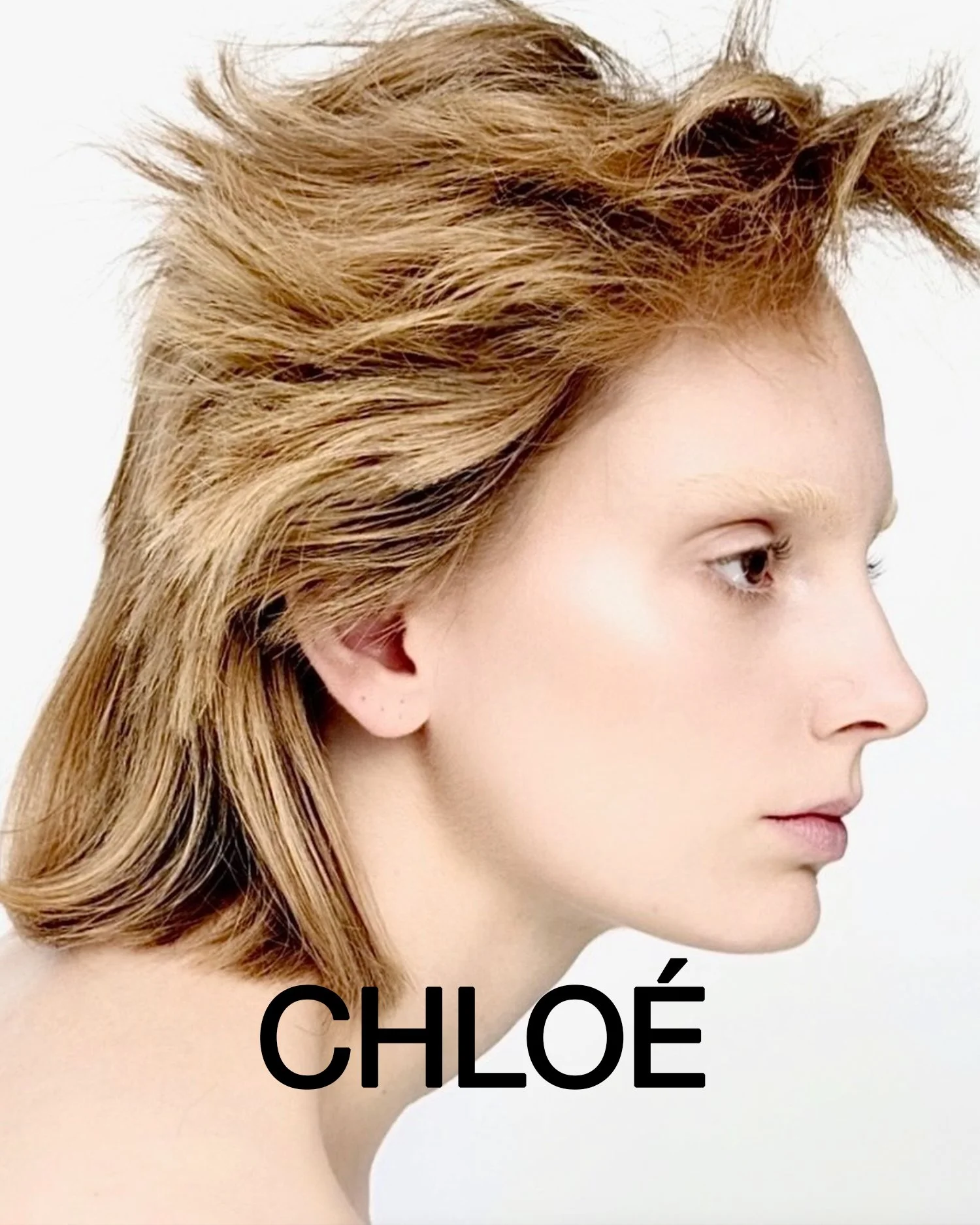 chloe.jpg