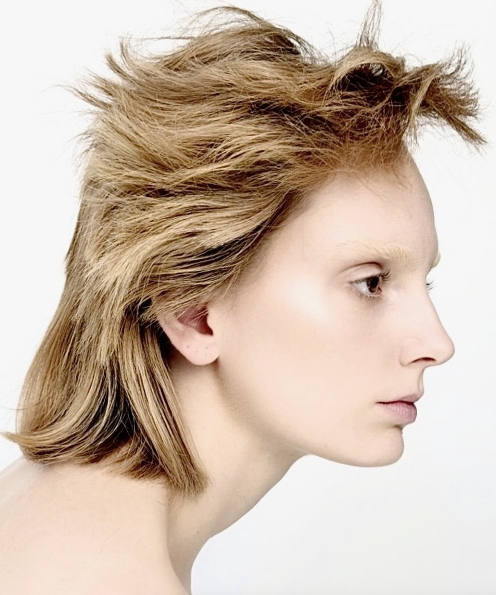 Screenshot 2026-01-04 at 10.40.27 PM.png